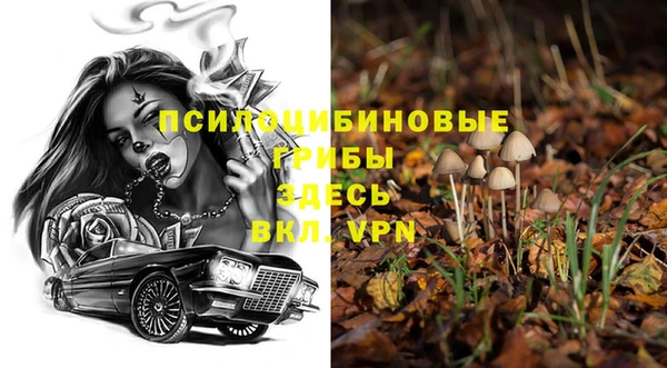 ALPHA-PVP Бугульма